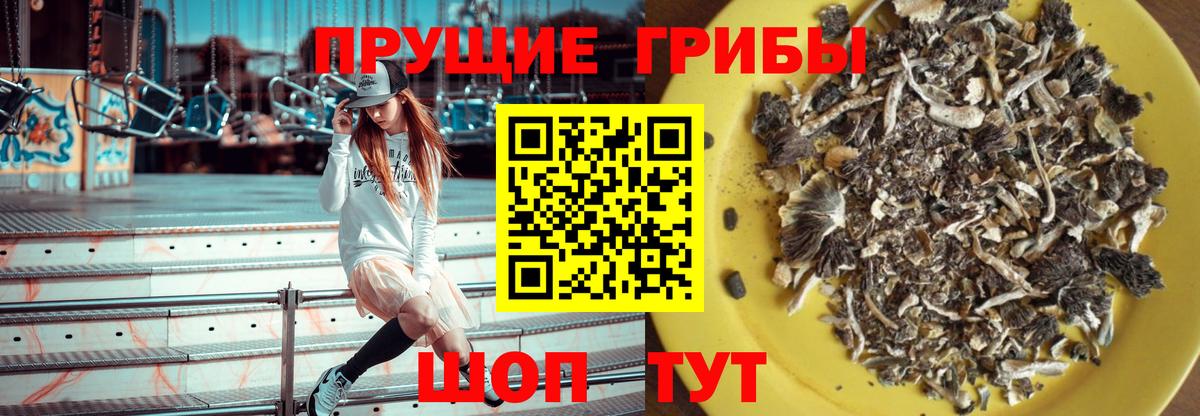 Псилоцибиновые грибы Psilocybine cubensis  Вход с VPN  Галлюциногенные грибы Psilocybe  закладки  Учалы 